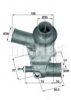 FIAT 4428394 Thermostat, coolant